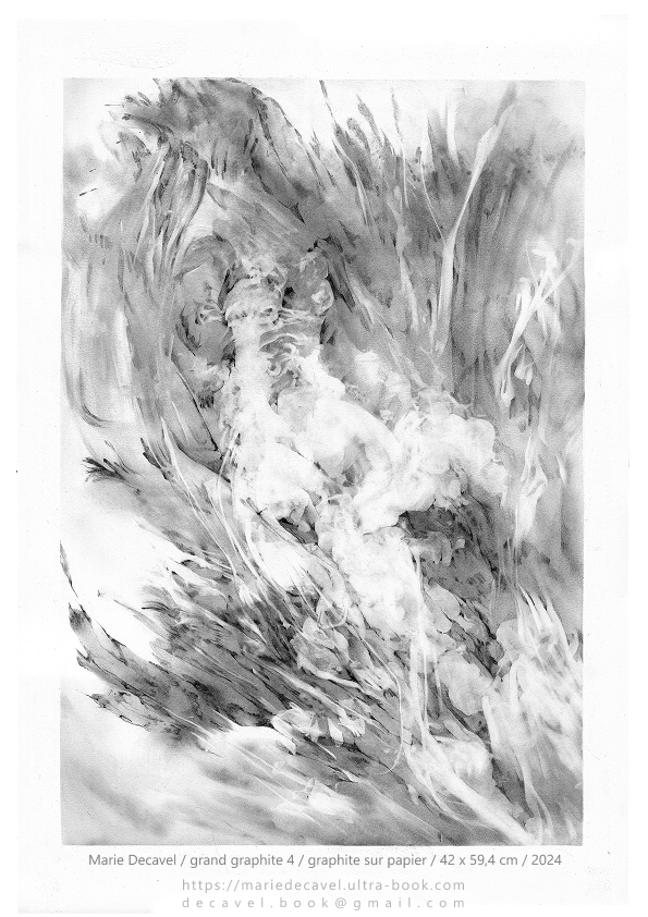 marie decavel_ aqua book GRANDE graphite4.jpg<br/><span></span>