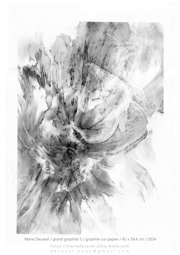 marie decavel_ aqua book GRANDE graphite5.jpg<br/><span></span>