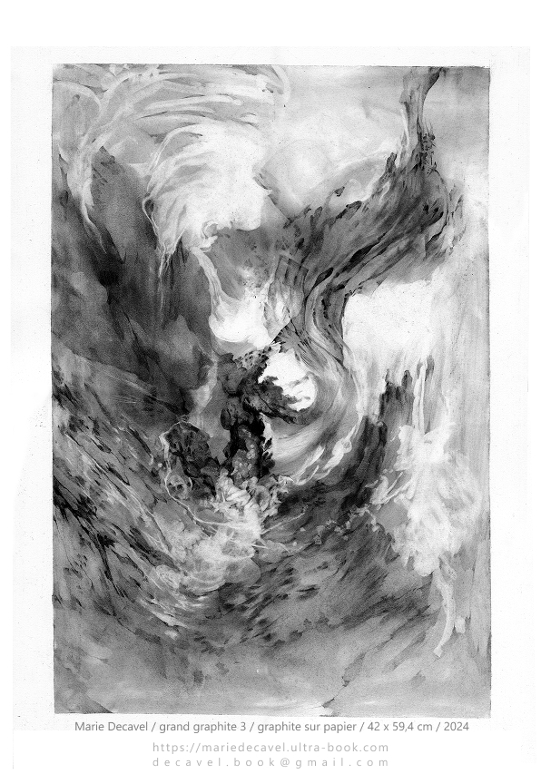 marie decavel_ aqua book GRANDE graphite3.jpg<br/><span></span>