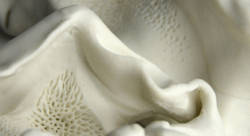 Frame 1.jpg - marie decavel-plasticien