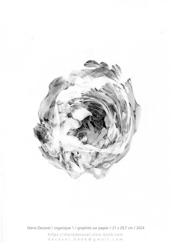marie decavel_ aqua book graphite-3.jpg