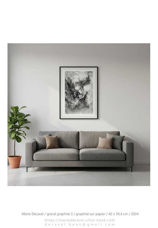marie decavel_ aqua book GRANDE graphite3 sur un mur.jpg
