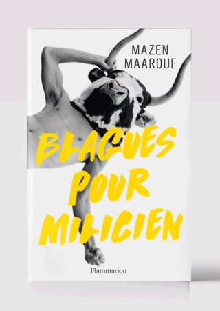 directeur_artistique_Flammarion_Marie_Dos_Santos_Barra_cover_Graphiste_Blagues_pour_miliciens.gif