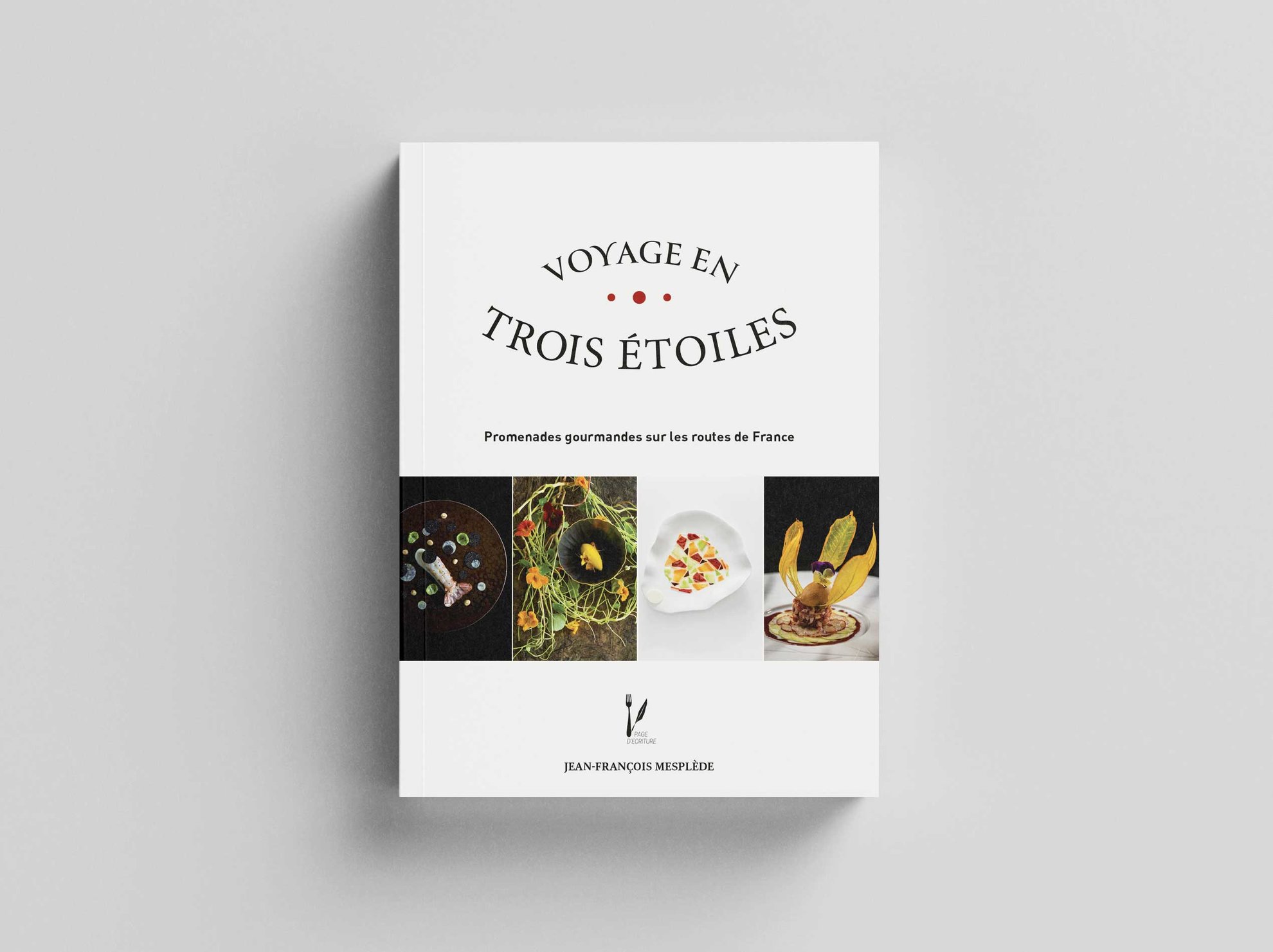 Voyage en trois etoiles