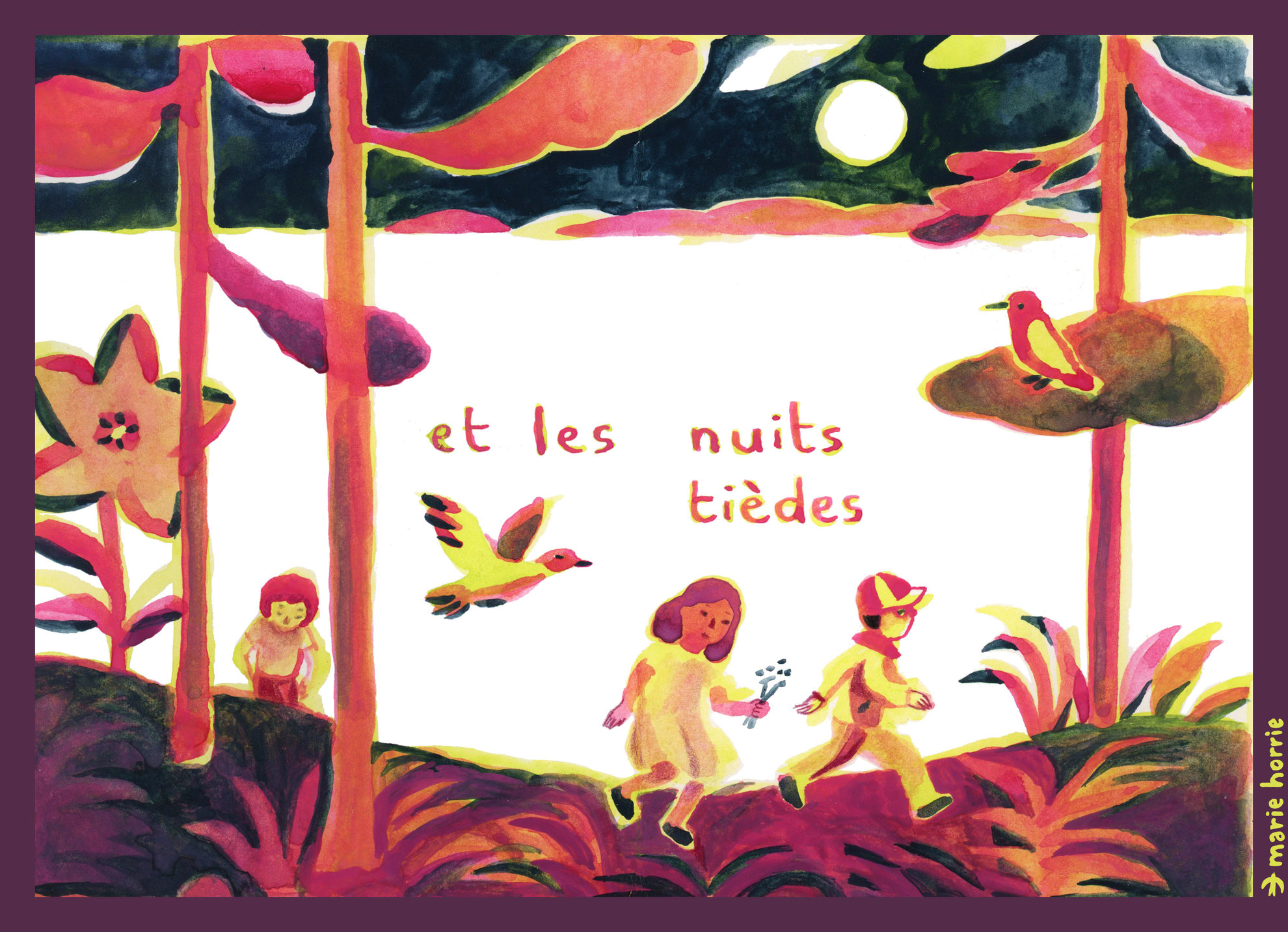 Nuits d'été.jpg