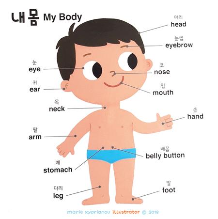 Samsung Publishing / My little Library / My body Korean-English