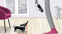 Dimanche - Marie Olé-illustrateur