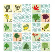 memory-arbre-et-feuille-2.jpg