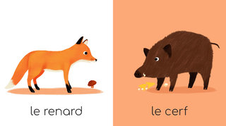 mes animaux sauvages ed GRUND