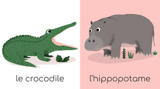 mes animaux sauvages ed GRUND