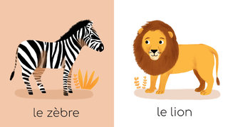 mes animaux sauvages ed GRUND