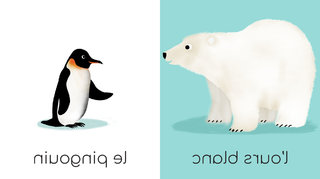 mes animaux sauvages ed GRUND