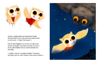 Juliette la chouette ne veut pas quitter son nid. textes C Clément, éditions LAROUSSE