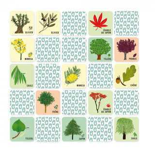 memory-arbre-et-feuille-2.jpg
