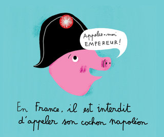 briller en soci&eacute;t&eacute;