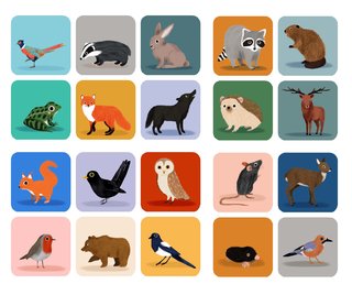 recap-memo-animaux--previsu.jpg