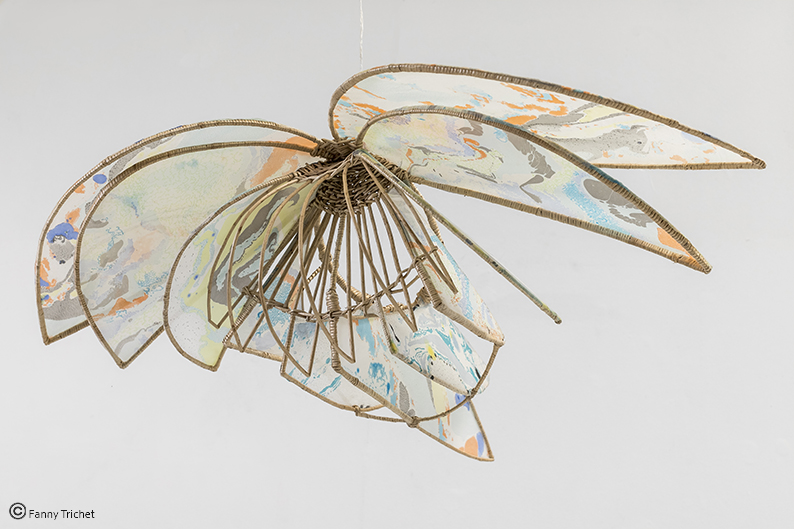 Cerf-volant