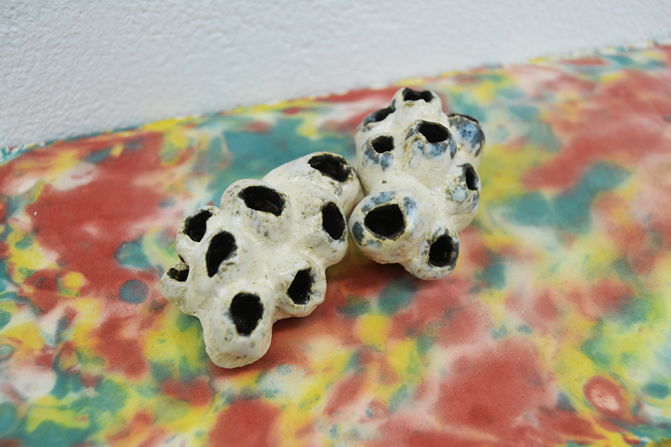 Coquillages