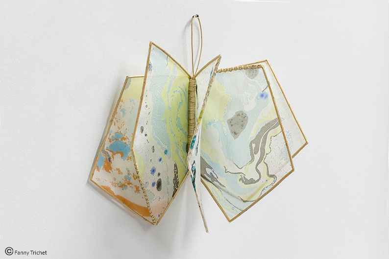 Livre soie