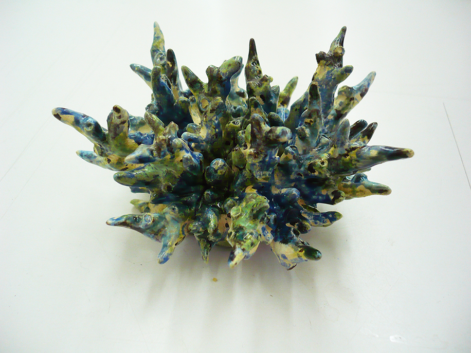 Lichen