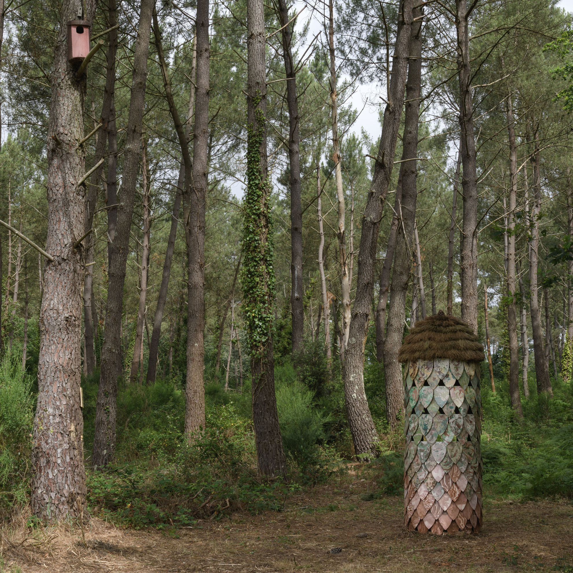 Dans ta peau2026-Installation pour l'Espace Naturel Sensible de  Boudré Céramique imprimée, chaume en épine de pin maritime