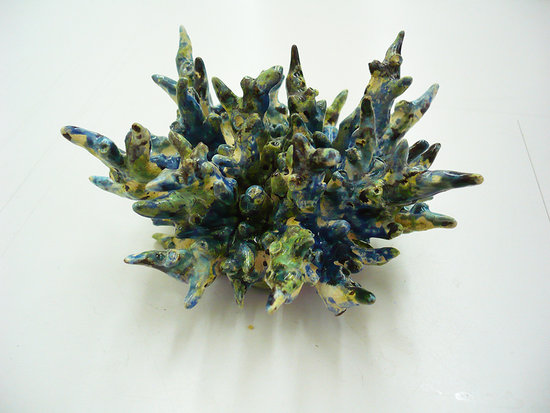 Lichen