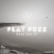 Flat Fuzz EP