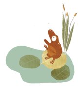 Le Cri de la Grenouille
