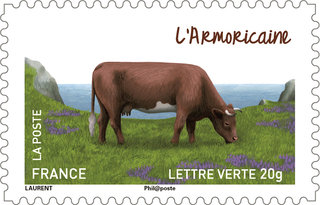 Timbre sur les vaches françaises, l'Armoricaine