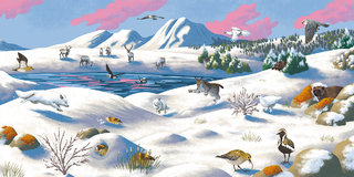 Le Parc du Hardangervidda, magazine Wapiti