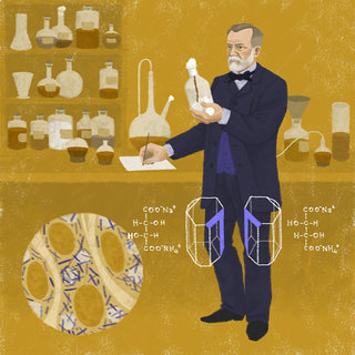 Chercheurs français : Louis Pasteur