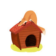 renard niche dort.jpg