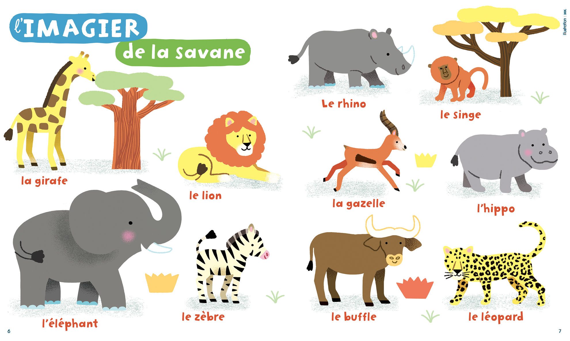 L'imagier de la savane