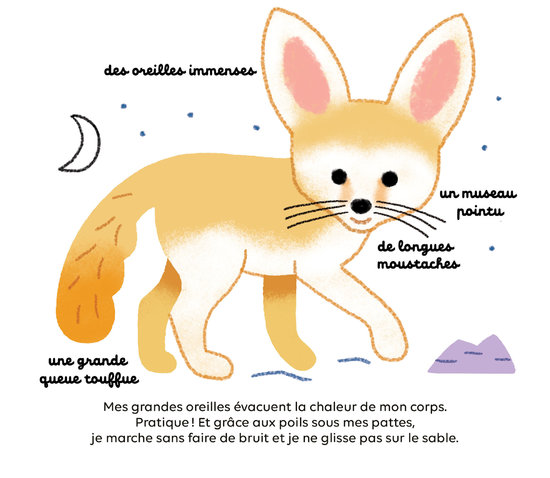 Les animaux du désert
