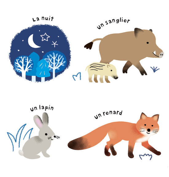 Dans la nuit !