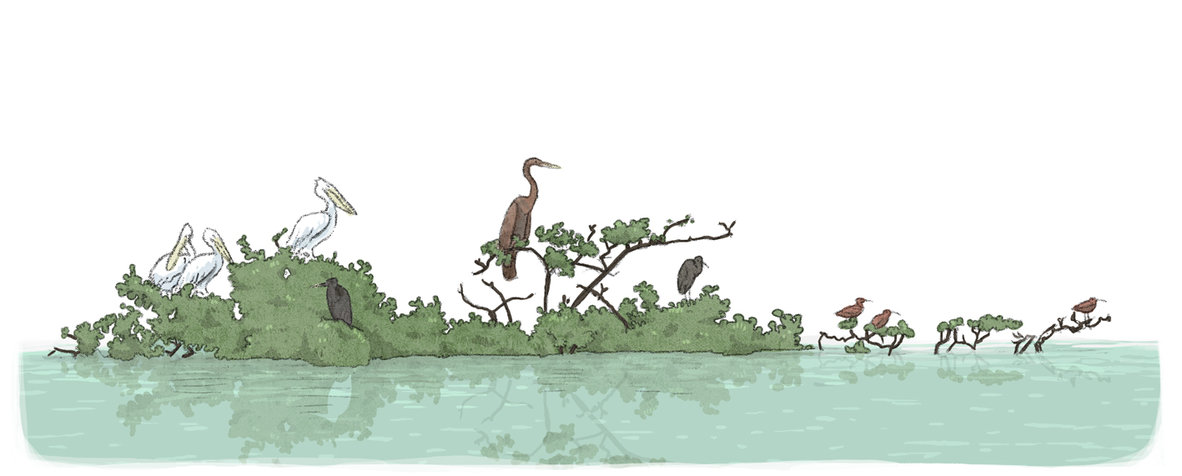 Melissa faidherbe illustration  Portfolio Autres 