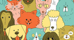 Cap Sciences - melanie roubineau-illustrateur jeunesse