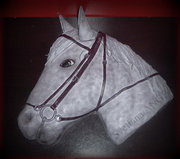 Gateau Cheval