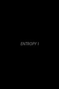Entropy 1