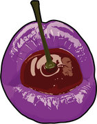 Cherry