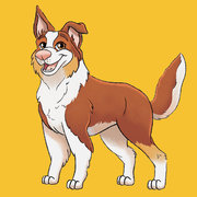 Chien de berger