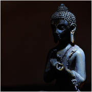 Bouddha dans l'ombre