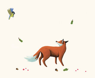 FOX