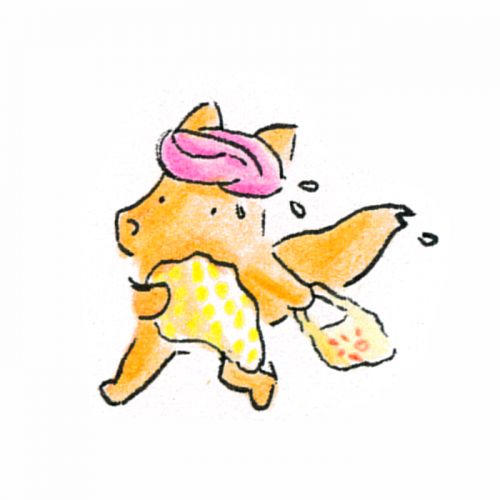 morgane hamon - illustrateurs-jeunesse