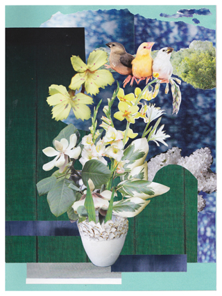 Collage bouquet aux 3 oiseaux