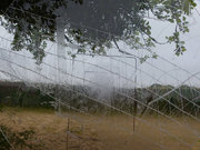 Longue vue, marécages