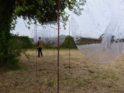 Longue vue
