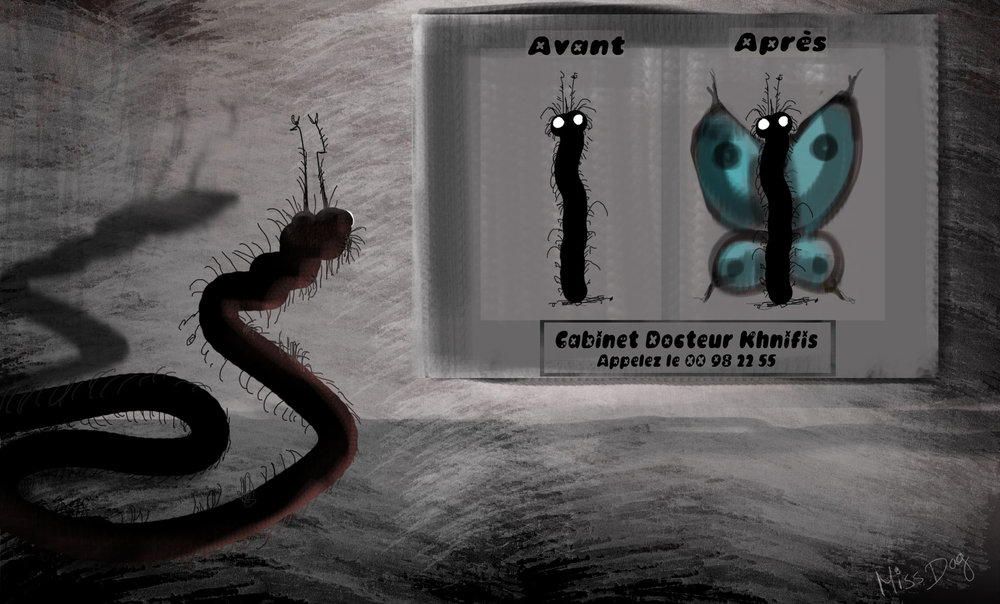 Nouvelle image