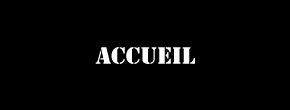 accueil book