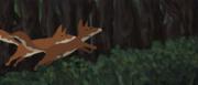 Classical animation : The Day of The Flood